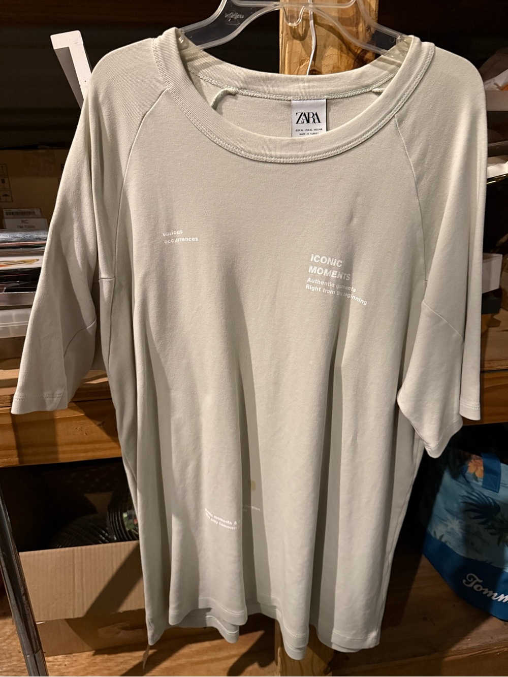 ZARA Light Sage Graphic Short Sleeve Tee
